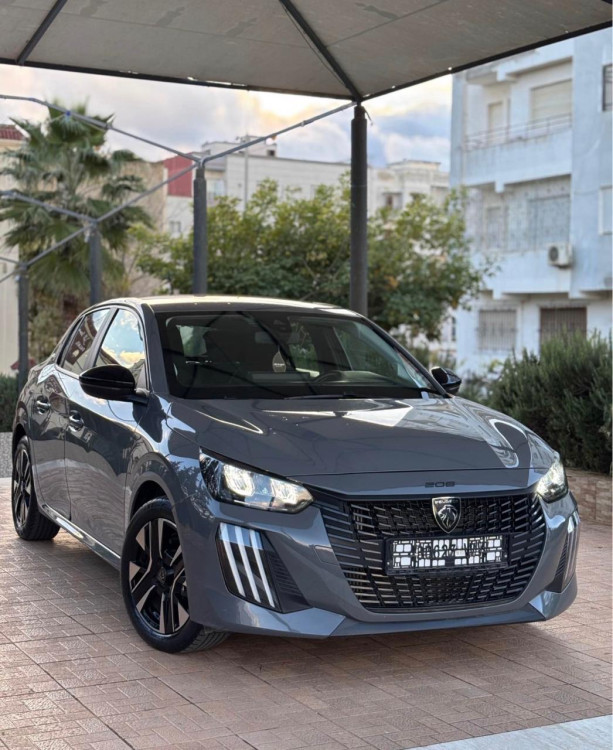 208 GRIS NARDO
